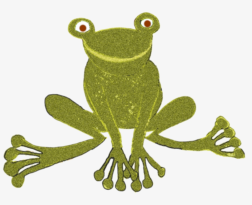 Frog - Pine Barrens Treefrog, transparent png