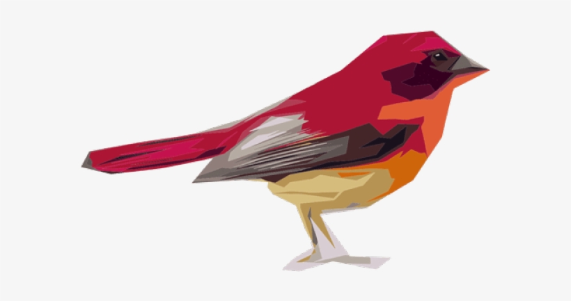 Sparrow Png Transparent Images - Five Different Type Of Bird, transparent png
