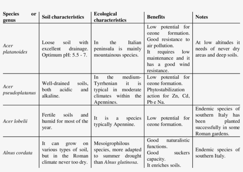 Characteristics Of The Main Non Native Deciduous Tree - Number, transparent png