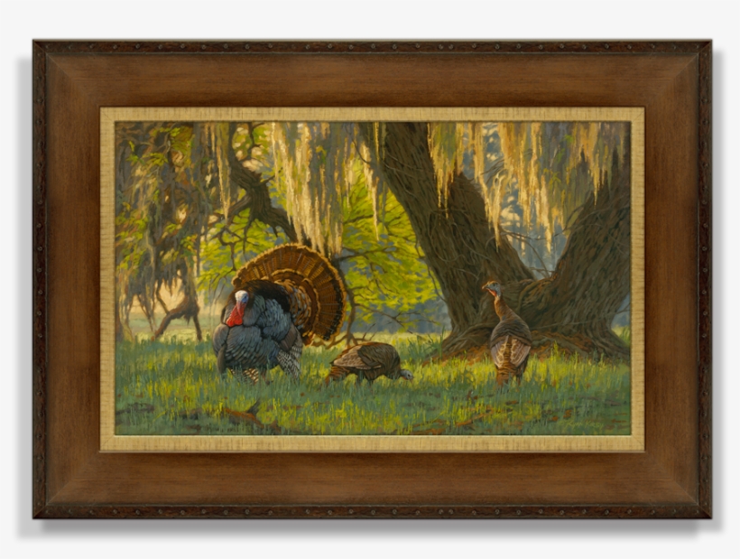 "boss Of The Moss" Artist's Proof Canvas Giclée, transparent png