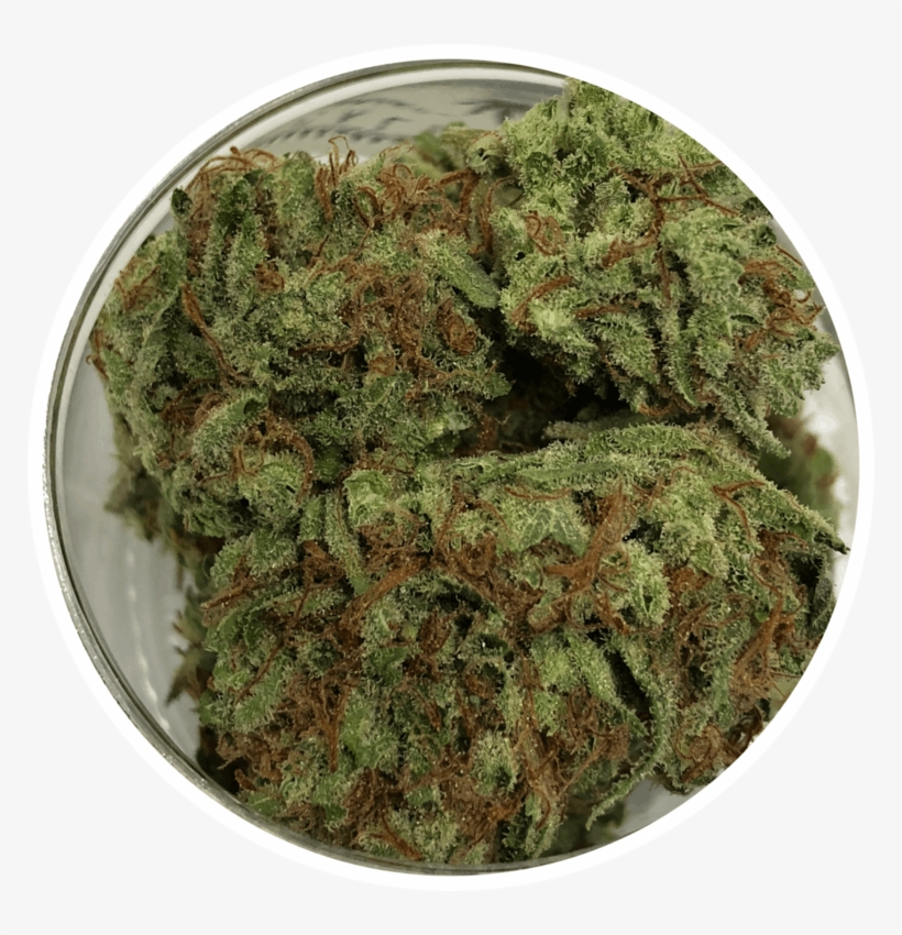 Devils Fruit - Moss, transparent png