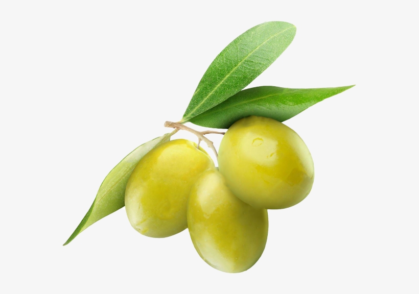 Yeşil Zeytin Png, transparent png