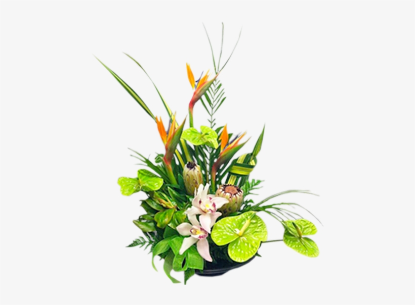 Tropical Green - Bouquet, transparent png