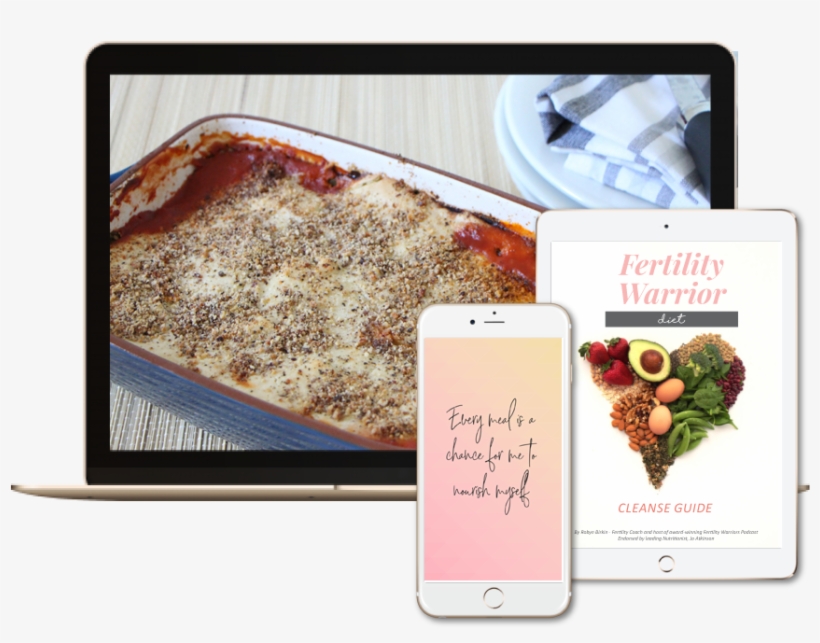 Fact - - Stollen, transparent png