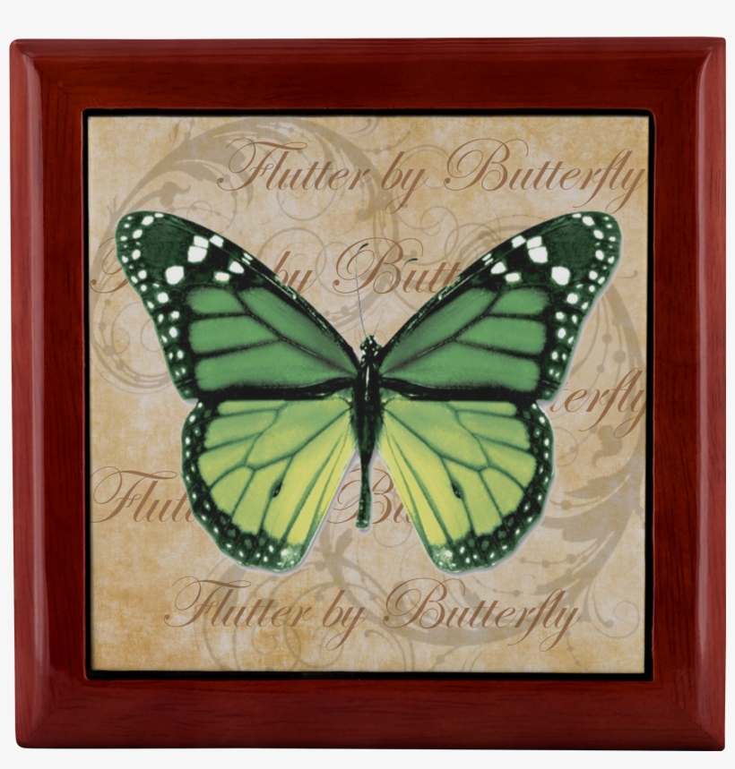 Load Image Into Gallery Viewer, Butterfly,butterflies - Green Butterfly, transparent png