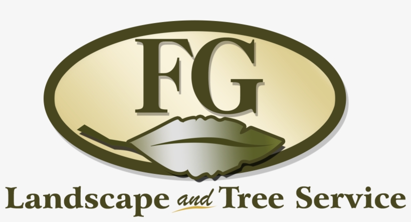 Fg Logo Fondo Transparente - Baby Boy Background, transparent png