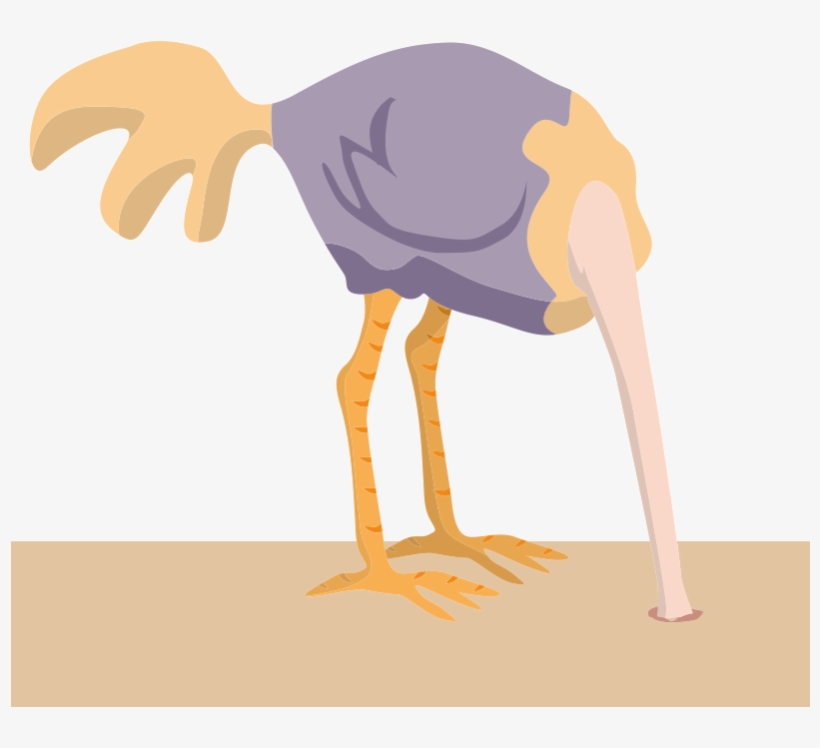 Png Transparent Stock With Clip Art Crazywidow Info - Common Ostrich, transparent png