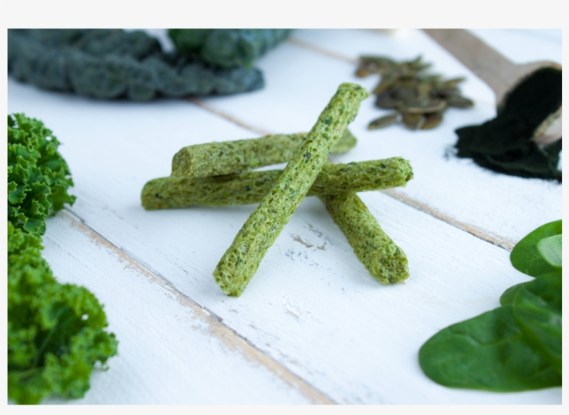 Product Dark Green Square - Starfish, transparent png