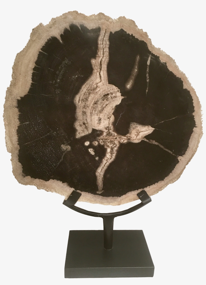 Trophy, transparent png