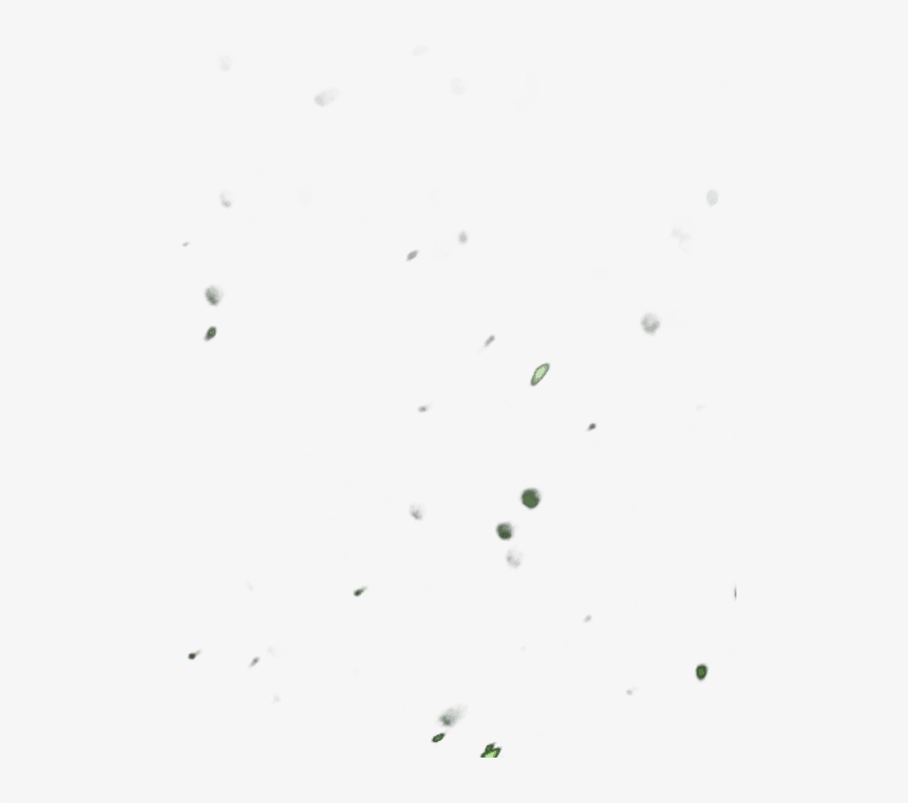 When You Train, Beads Of Sweat Fall From Your Skin - Wrapping Paper, transparent png