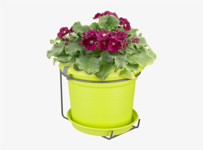 Home > Collection > Green Basics Potholder Allin1 Metal - Flowerpot, transparent png