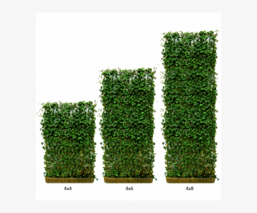 Variety Of Heights - Green Wall Screen Planter, transparent png
