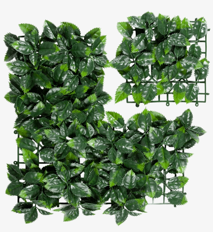 Liberty Holly Artificial Hedge - Houseplant, transparent png