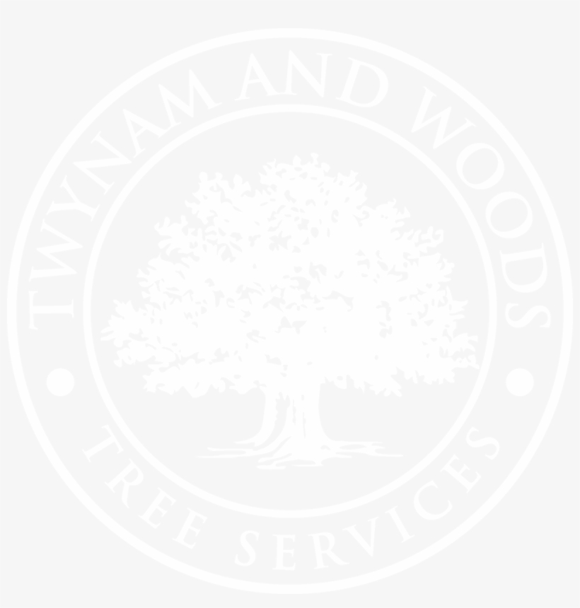 Contact Us About Ivy And Climbing Plants - Foreverspin Logo, transparent png