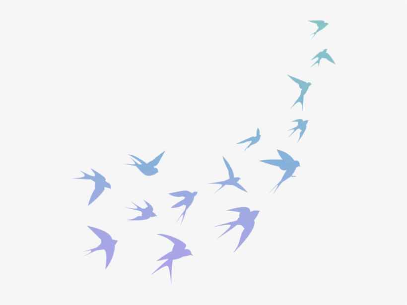 Image 1857480 Pajaros - Pattern Black And White Bird, transparent png