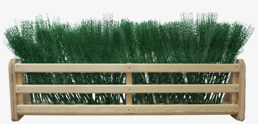 Wooden Frame For Hedge Or Pool - Grass, transparent png