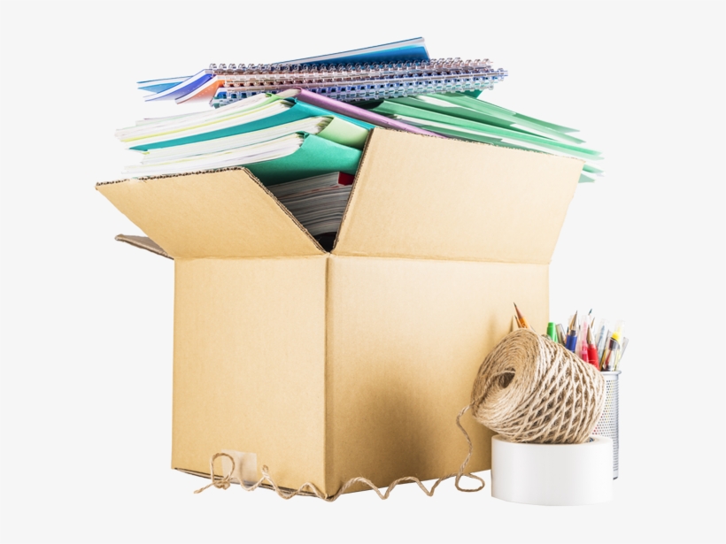 Corporate Moving - Armadillo, transparent png