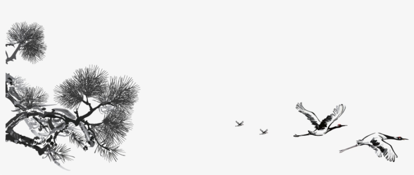 European Swallow, transparent png