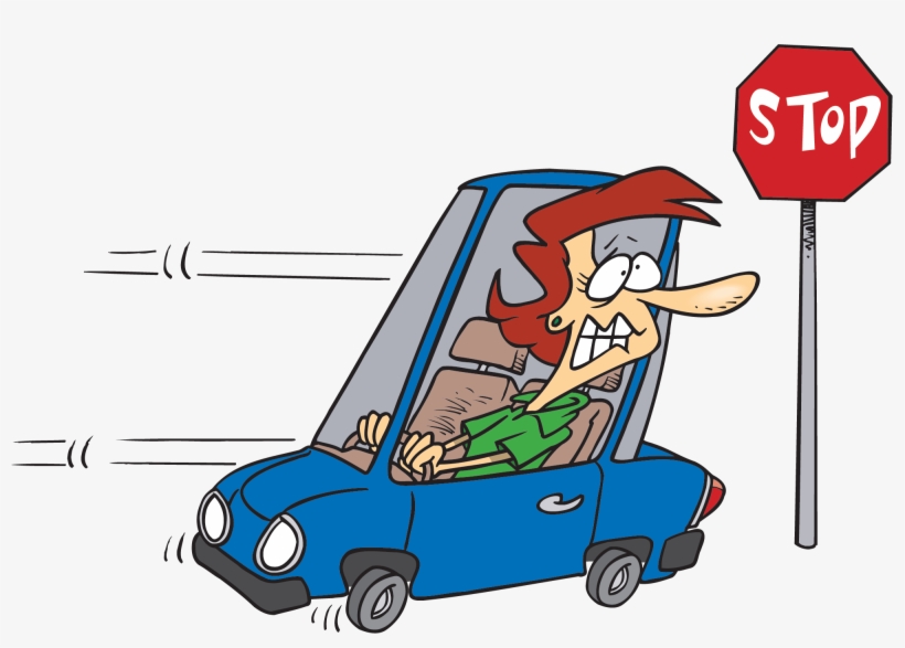 Rosa Blanca De York Fondo De Pantalla Probably Containing - Reverse Clip Art, transparent png