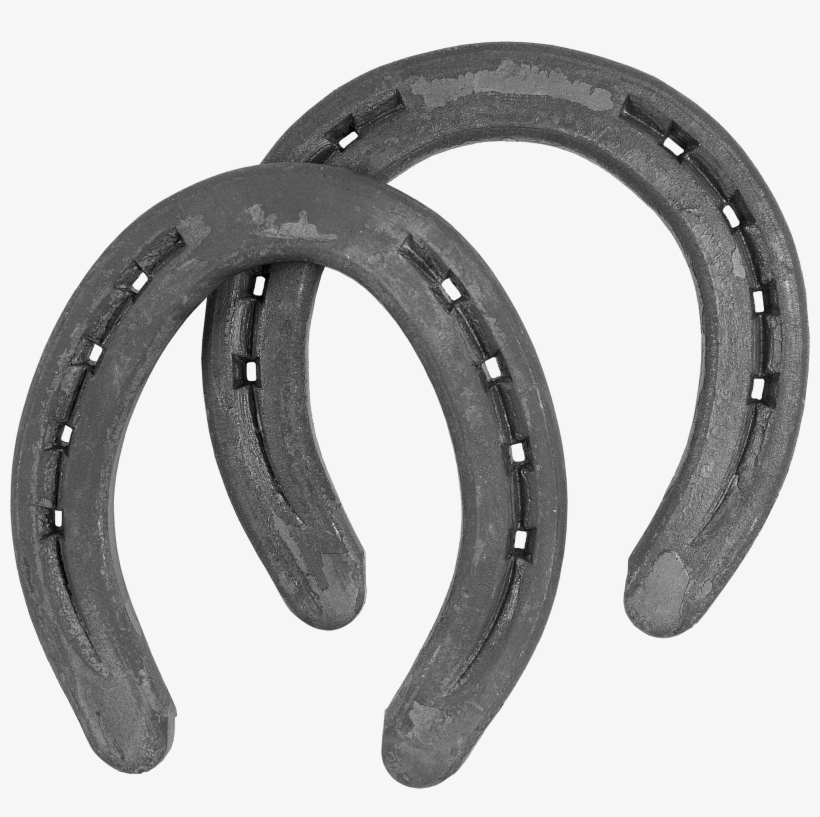 Herradura De Hierro Mustad Hípica Mediana - Circle, transparent png