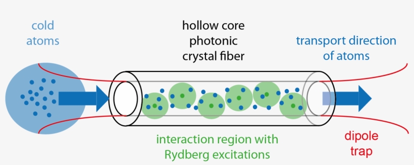 Rydberg Polariton Dynamics In Quasi One Dimensional - Hollow Core Fiber, transparent png