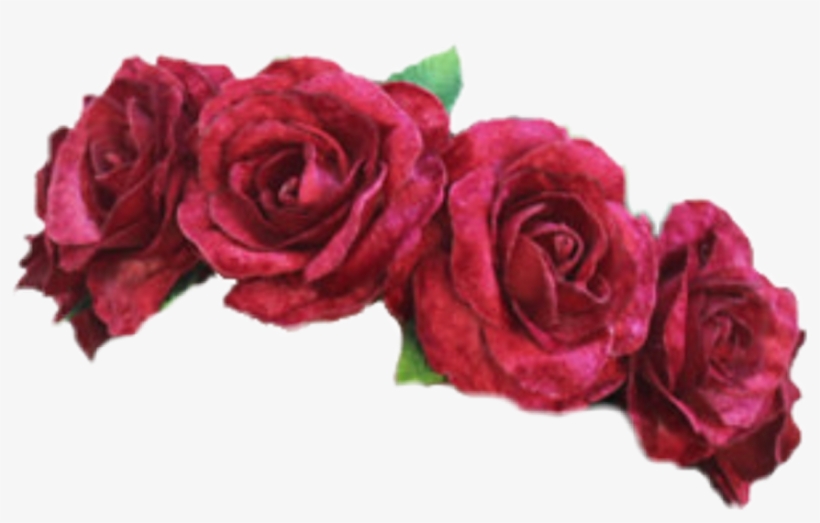 Flowercrown Red Flower Crown Png - Transparent Flower Crown Png Red, transparent png