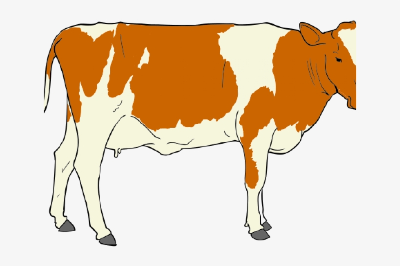 Cow Clipart, transparent png