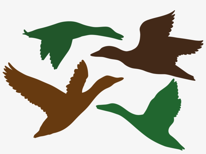 Duck Silhouette, Silhouette Images, Silhouette Files, - Flock, transparent png