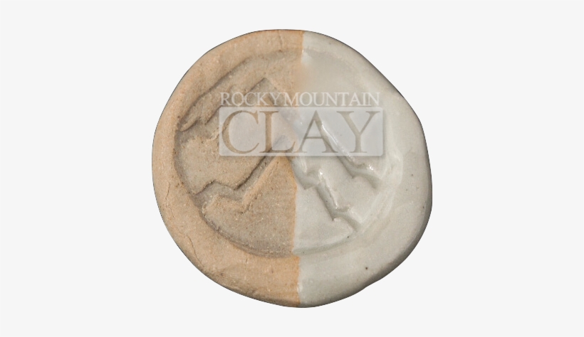Coin, transparent png