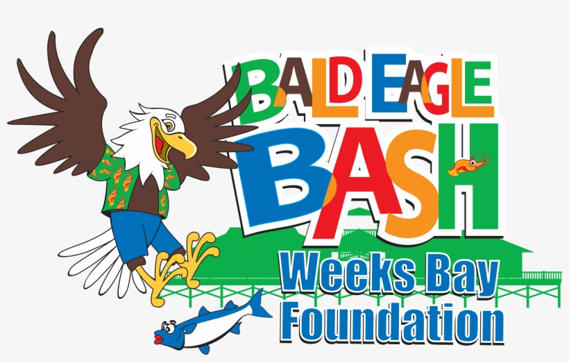 Bald Eagle, transparent png