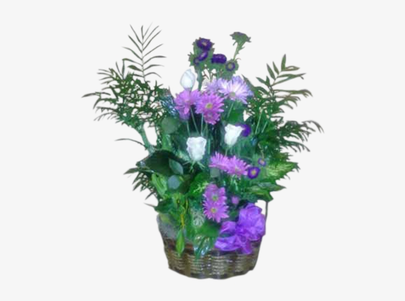 Purple Garden - Violet Dish Garden, transparent png