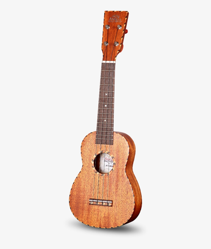 Pt-mw Series - Acoustic Guitar, transparent png