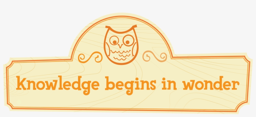 Image Gallery - Illustration, transparent png