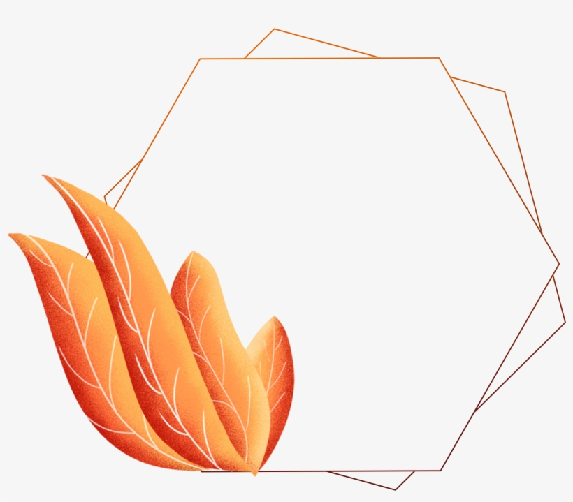 Hand Painted Border Plants Leaves Coral Orange Png - Construction Paper, transparent png