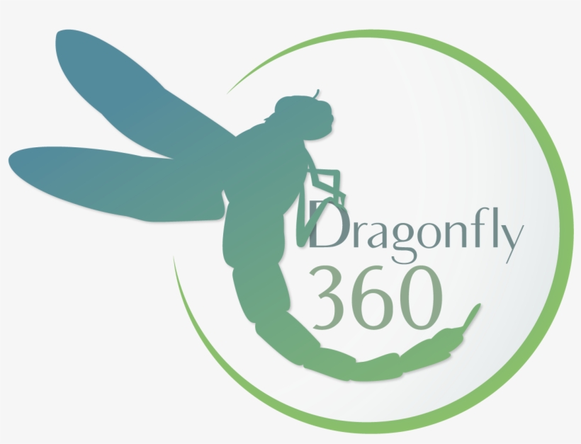 Logo Design By Quortex Design For This Project - Dragonflies And Damseflies, transparent png