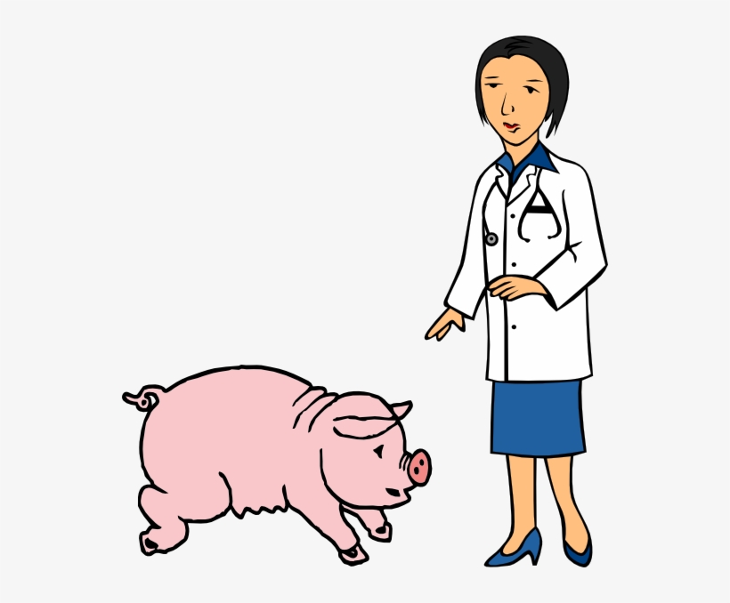 Doctor And Pig Clip Art - Sau Clipart, transparent png
