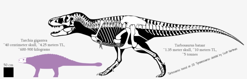 Dinosaur Skeleton, Dinosaurs, Skulls, Skull Art, Skull - Tyrannosaurus, transparent png