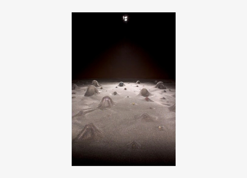 Glove Trotter3 - Moon, transparent png