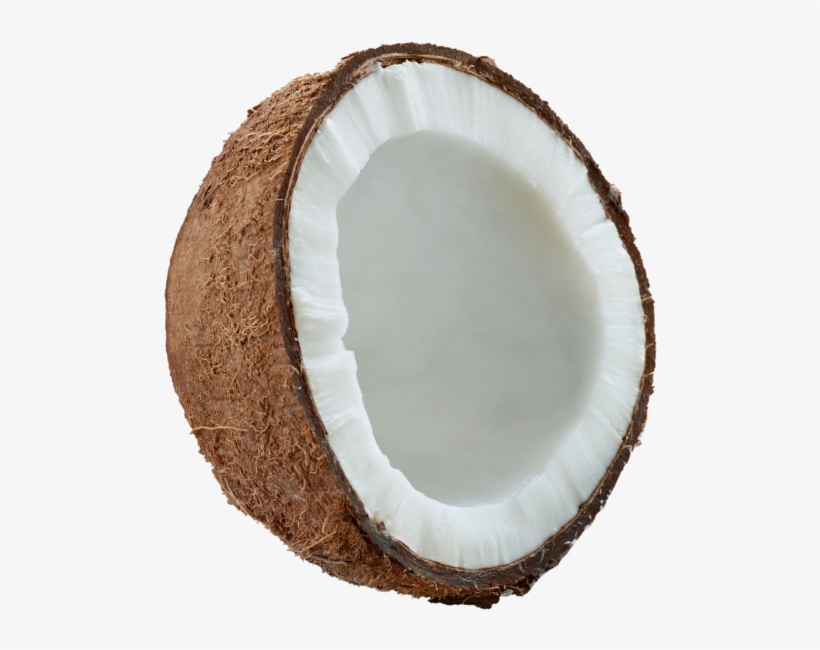 Coconut - Wood, transparent png