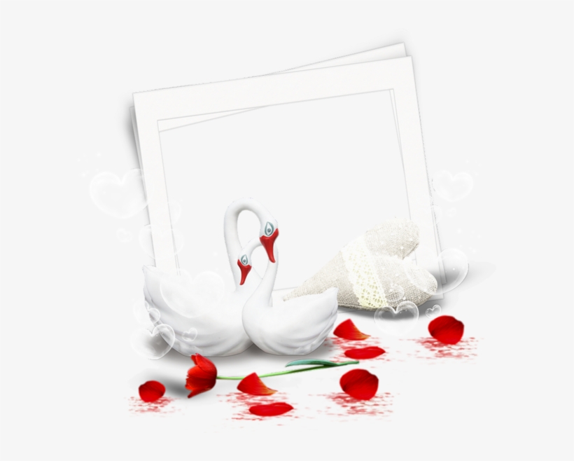 Turkey, transparent png