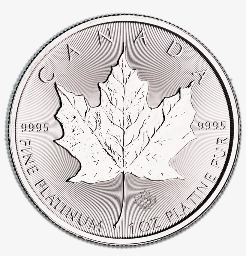 Coin, transparent png