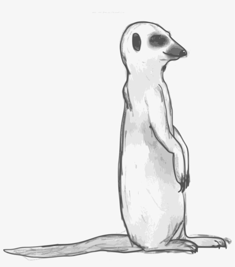 Meerkat Sketchy 1969px 444 - Black And White Meerkat, transparent png