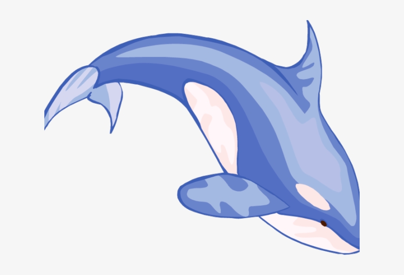 Sperm Whale Clipart Real - Whale Clip Art, transparent png