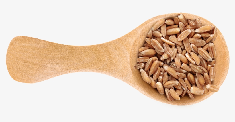 Wheat Berries - Dinkel Wheat, transparent png