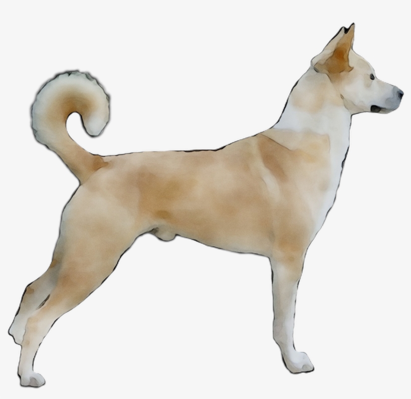 Ancient Dog Breeds, transparent png