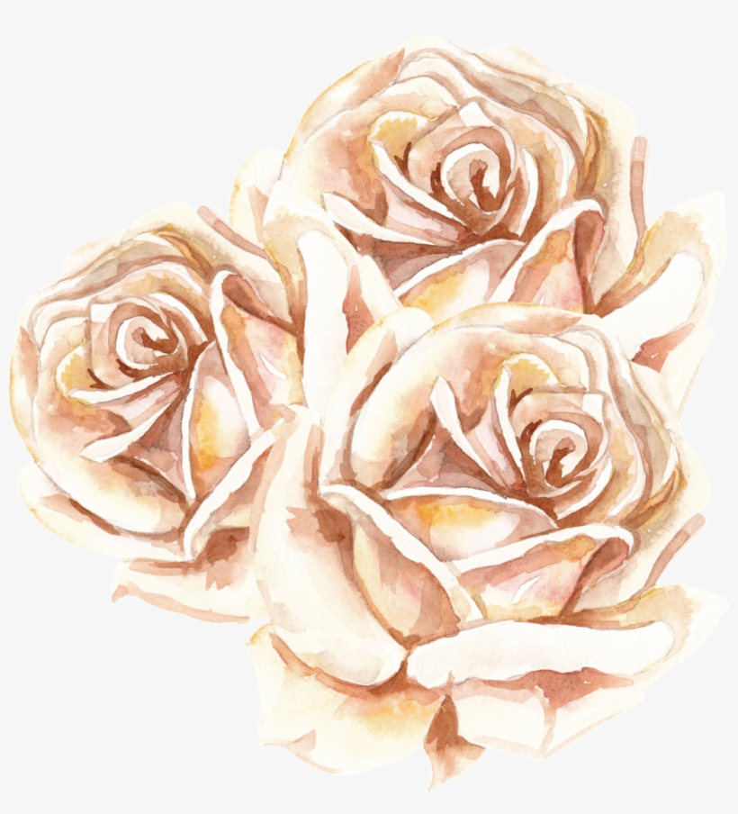 Korean Flower Transparent - Floribunda, transparent png