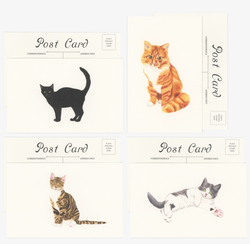 Cats Postcards-set Of, transparent png