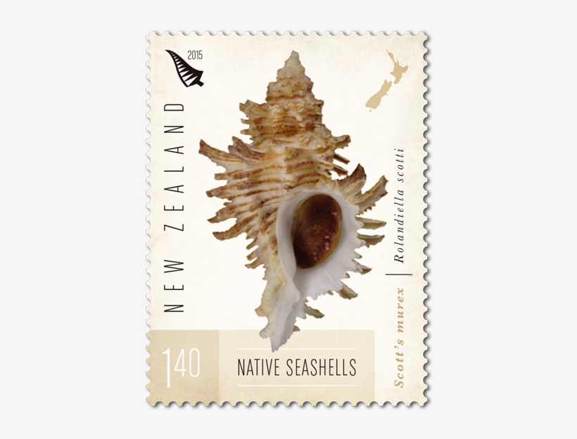 Seashells Postcard Stamps 600x600 PNG Download