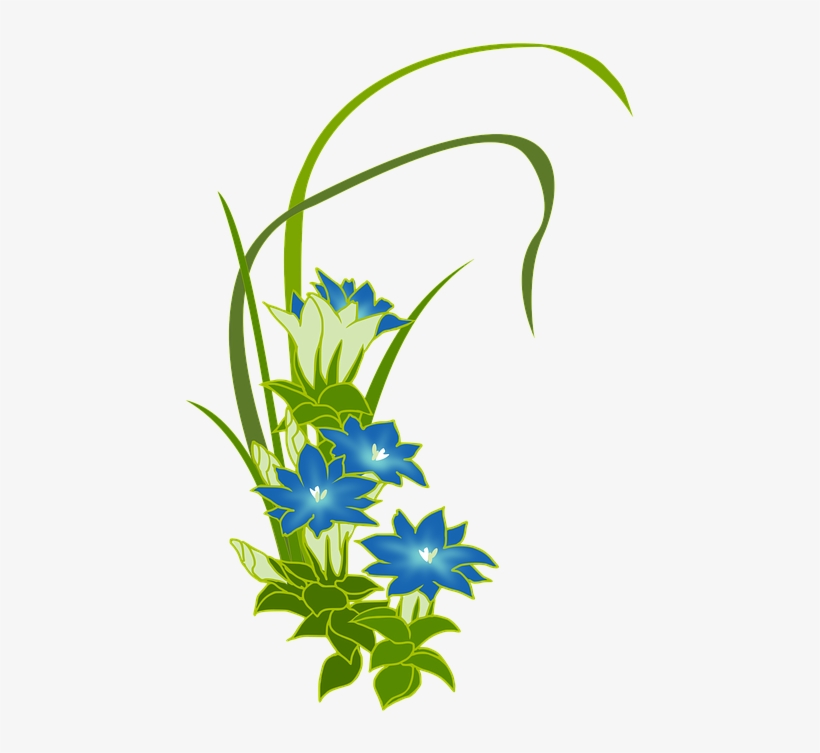 Gentian, Wild Grass, Blue, Flowers, Fuderindou - Transparent Flower Green Blue, transparent png