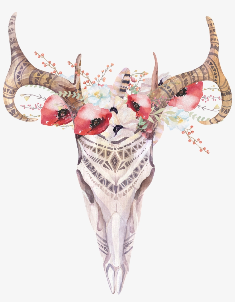 Boho Skull, transparent png